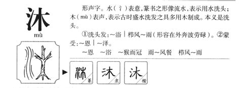 沐字五行|沐字五行属什么 沐在五行中属什么